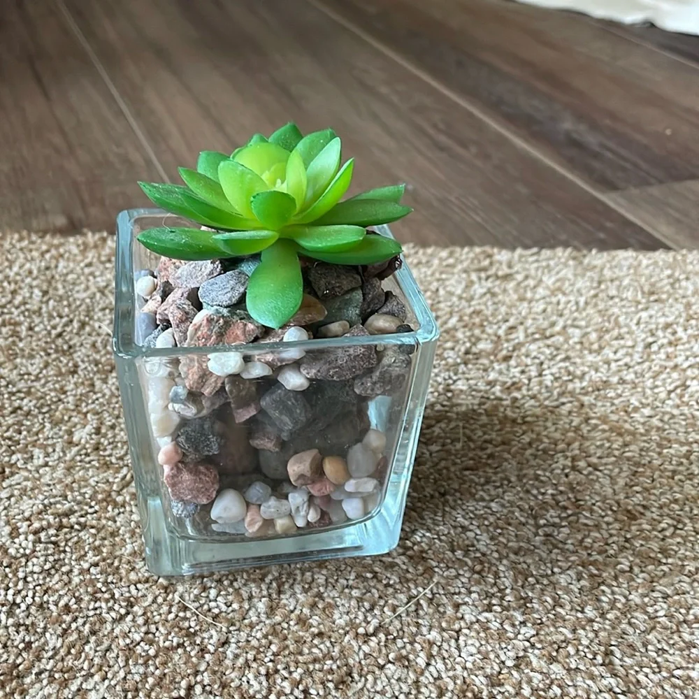 Square Glass faux Succulent